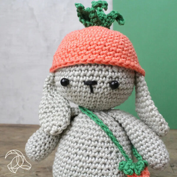 DIY Crochet Kit - Frank Rabbit - Hardicraft